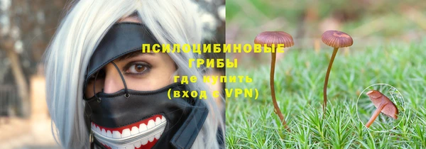 mix Абаза