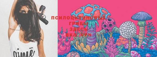 бошки Алексин