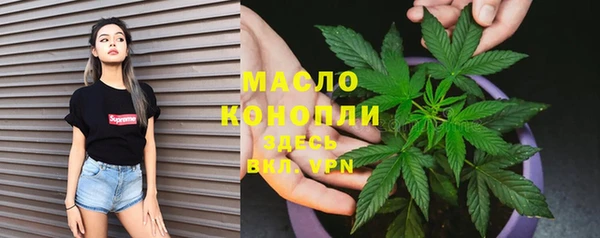 СК Пересвет