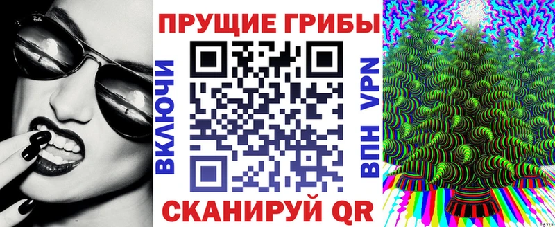 Галлюциногенные грибы MAGIC MUSHROOMS кракен как войти Трубчевск как найти